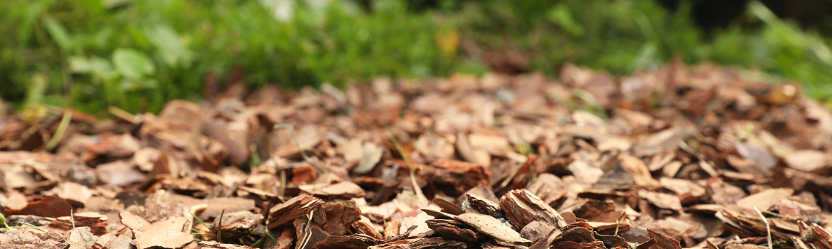 Leave the leaves