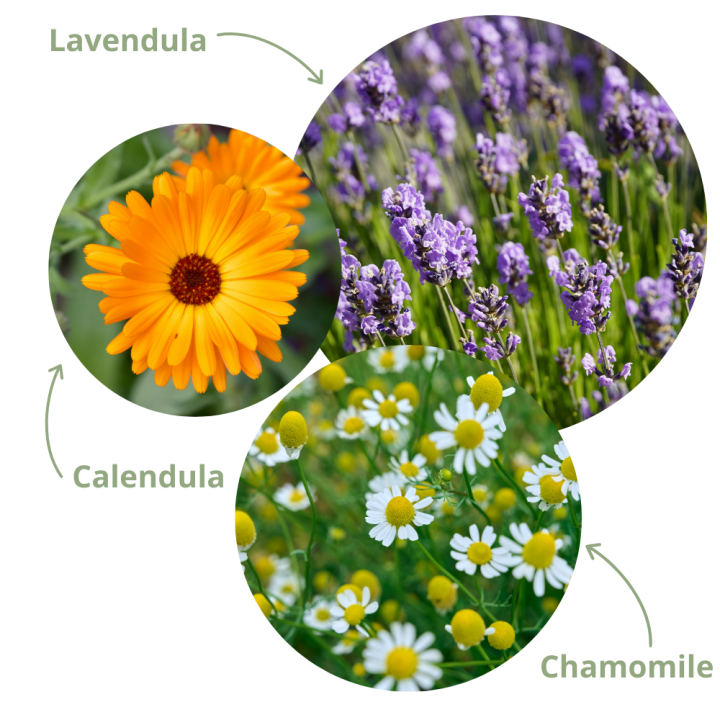 Communities in Bloom - Therapeutic Gardening - Garden Centres Canada