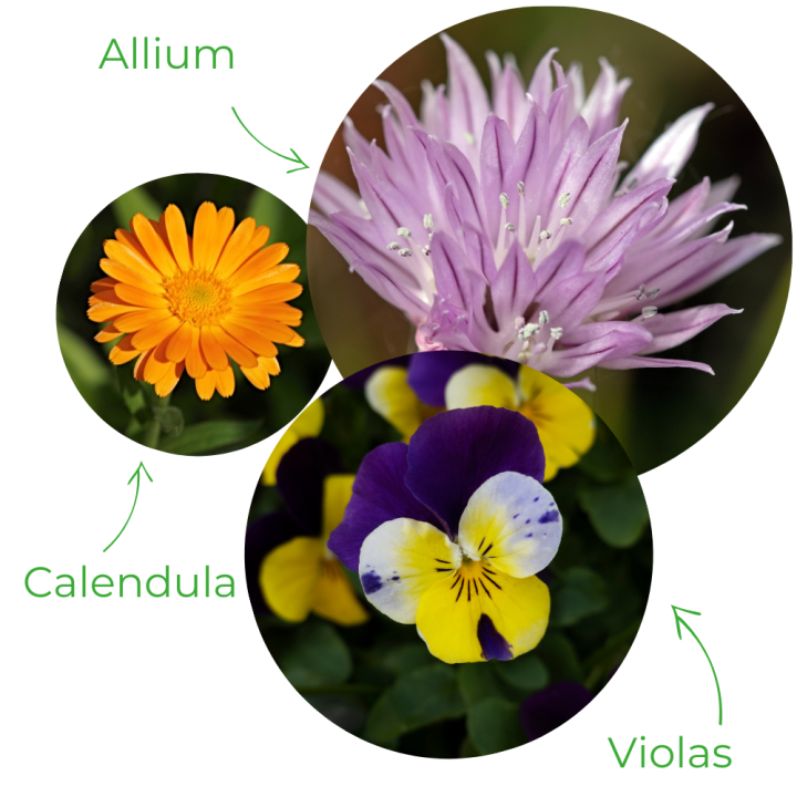 Communities in Bloom - Orange - Garden Centres Canada