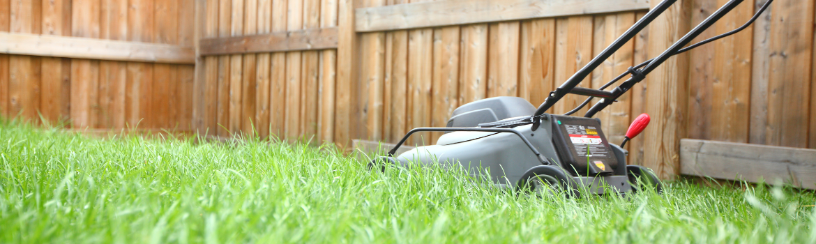 Keep Grass Healthier in the Summer Heat 