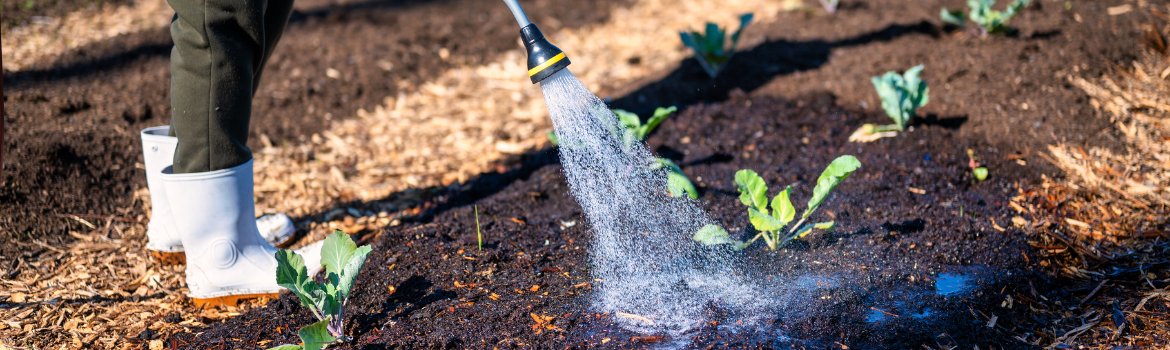 Hot tips for hot days - Mulching - Garden Centres Canada