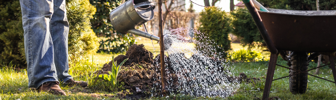 Watering in autumn