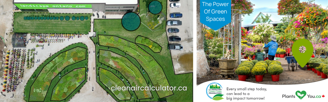 Plants Love You Giveaway