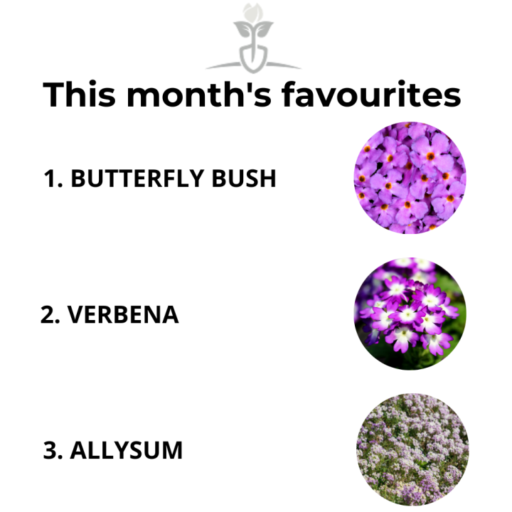 This month's favourites - Garden Centres Canada