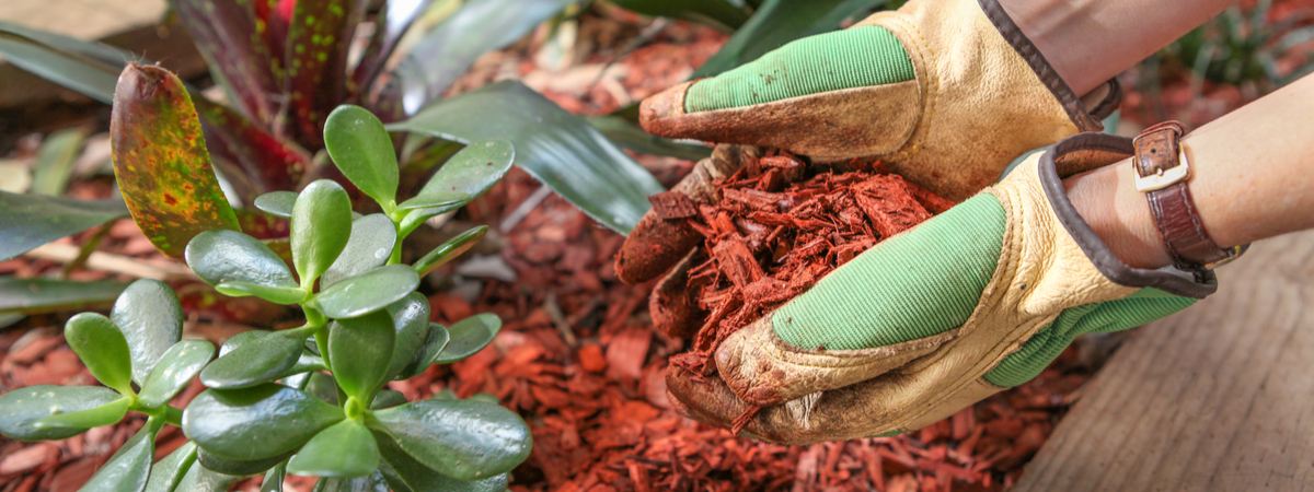 Mulch - Garden Centres Canada