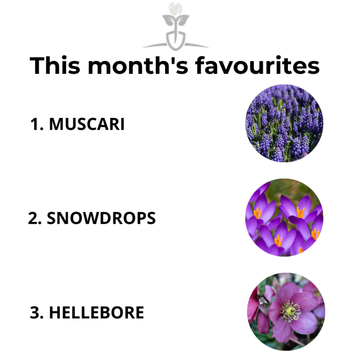 This month's favourites - Garden Centres Canada