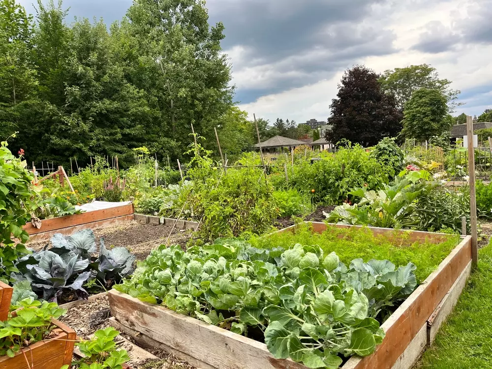 Communities in Bloom