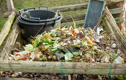 Compost Maintenance Tips