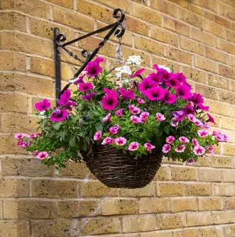 How to Keep Your Hanging Baskets Well-Watered?