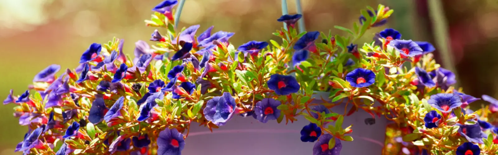 May garden jobs