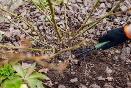 Prepare Your Garden for Winter: Soil Preparation Prepare Your Garden for Winter: Soil Preparation