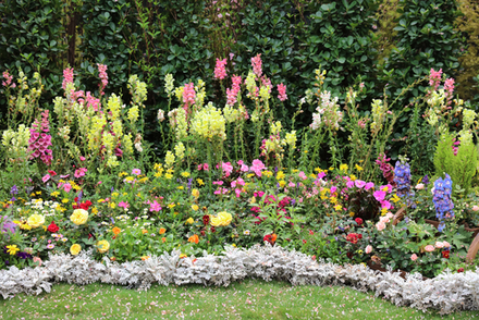 Preparing Perennial Borders in Canada's Diverse Climates